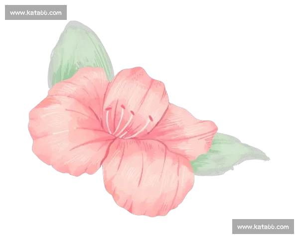 飒!粉色 “她铁”:碧波上绽放的女性力量